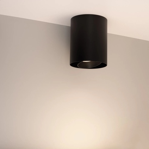 Светильник SP-FOCUS-R132-24W Day4000 (BK, 15 deg, 230V) (Arlight, IP54 Металл, 5 лет)