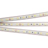 Лента светодиодная RTW 2-5000PS 24V Day4000 2x (5060, 300 LED, LUX) (Arlight, 14.4 Вт/м, IP67)