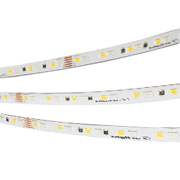 Категория RGBW A168 24V 10mm 20 W/m