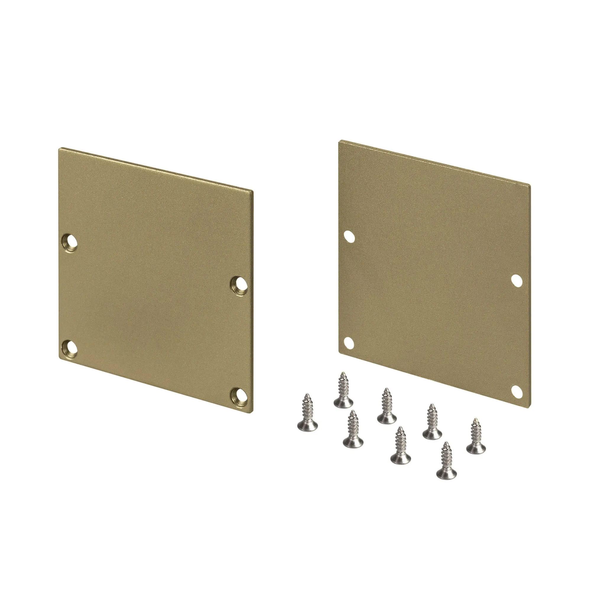 Заглушка SL-LINE-5050-LW GOLD глухая (Arlight, Металл) - изображение товара