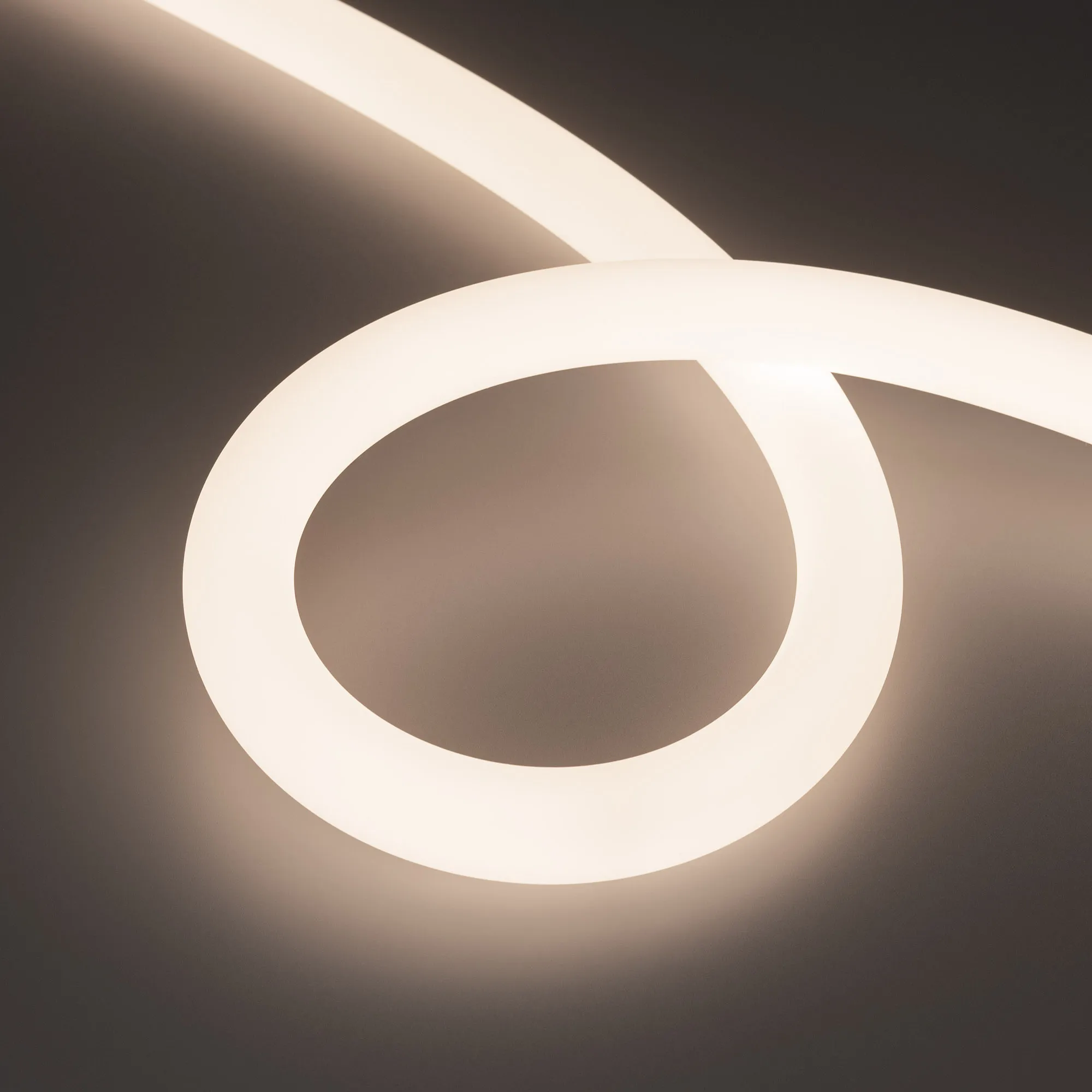 Лента светодиодная герметичная MOONLIGHT-SIDE-FP-X1088-D25mm 24V Day4000 (20 W/m, IP65, 5m, wire x1) (Arlight, Вывод боковой, 3 года) - изображение товара